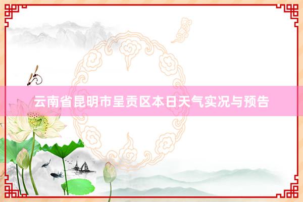 云南省昆明市呈贡区本日天气实况与预告